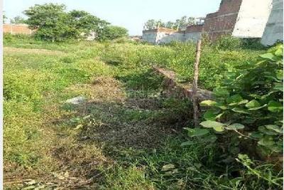 Shela Plot View 1