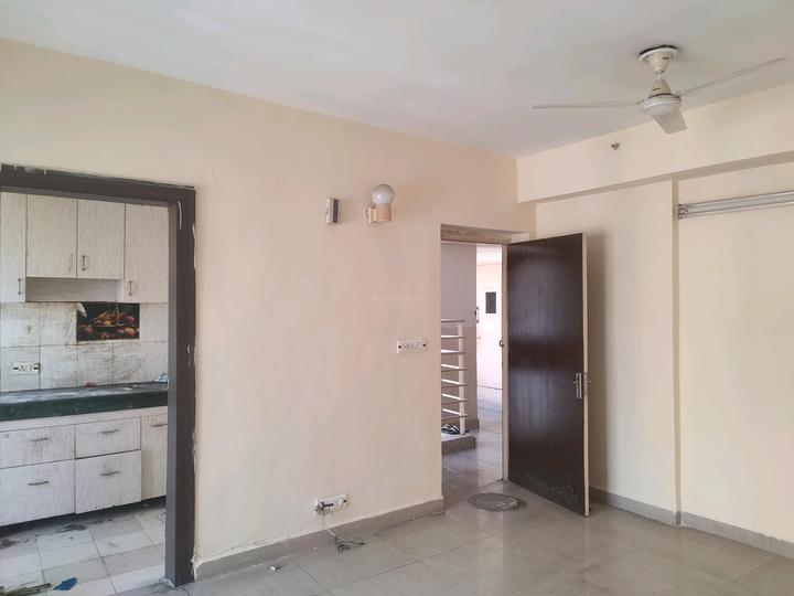 Paras Tierea Main Image 1