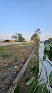 Image of 136 Sq.ft Residential Plot / Land for sale in Chandu, Gurgaon for Rs. 5500000