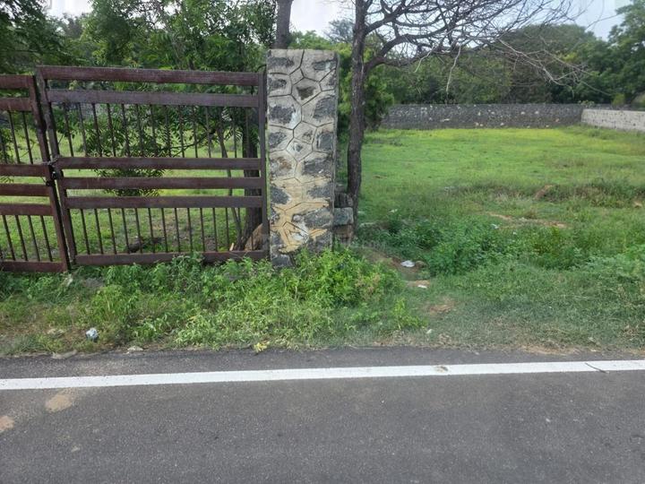 Muttukadu Main Image 1