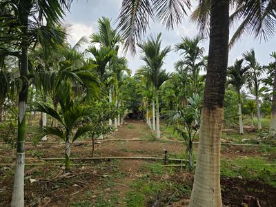 Image of 174240 Sq.ft Residential Plot / Land for sale in Doddaballapura, Bengaluru for Rs. 104000000