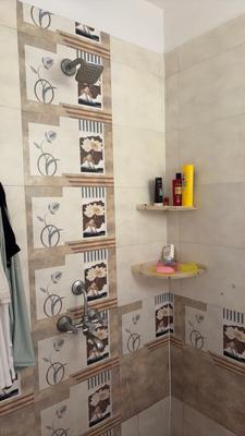 Bathroom Image of 480 Sq.ft 1 BHK Apartment / Flat for rent in Ulwe Navi Mumbai for Rs. 4900