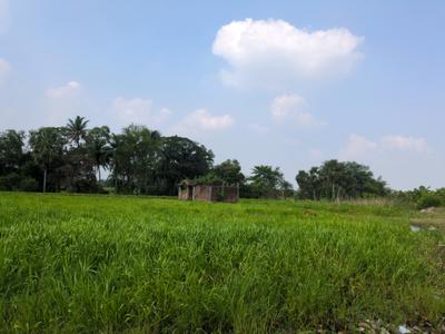 Image of 1800 Sq.ft Residential Plot / Land for sale in Natures Paradise, Joka, Kolkata for Rs. 374998
