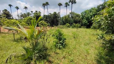 Image of 31968 Sq.ft Residential Plot / Land for sale in Kothavalasa, Visakhapatnam for Rs. 14800000