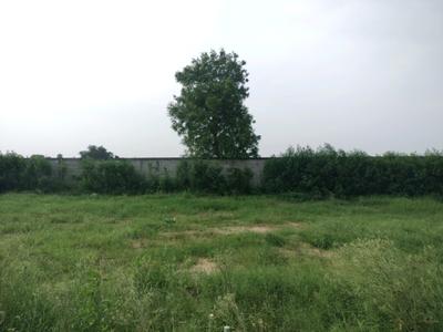 Image of 1060 Sq.ft Residential Plot / Land for sale in G And G Amolik Blossom Woods, Tajupur, Faridabad for Rs. 14000000