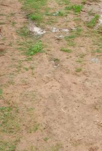 Image of 1800 Sq.ft Residential Plot / Land for sale in Bihta, Patna for Rs. 718200