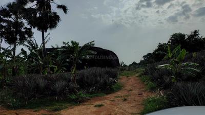 Image of 48563 Sq.ft Residential Plot / Land for sale in Mathicode, Kanyakumari for Rs. 180000000