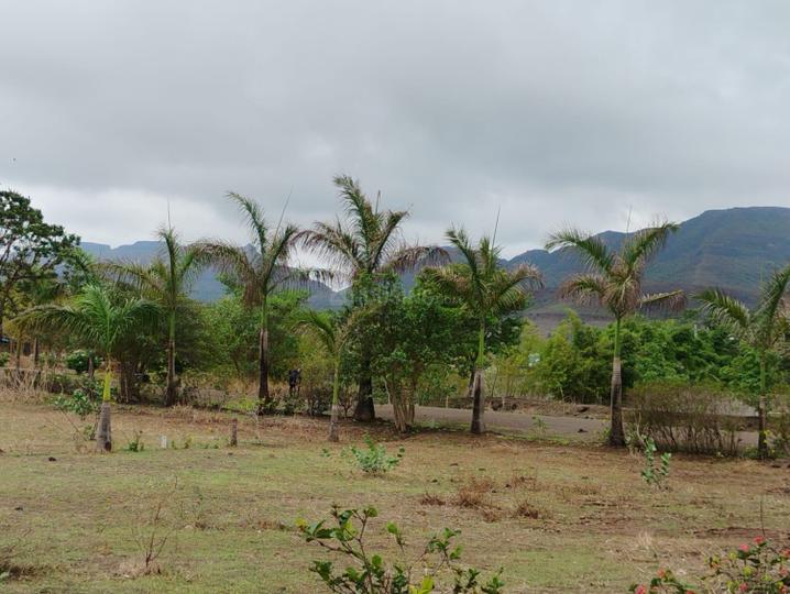 Raigadnagar Main Image 1
