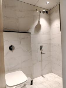 Common Bathroom Image of 1090 Sq.ft 2 BHK Apartment / Flat for sale in Majestique Towers East, Kharadi Pune for Rs. 8900000