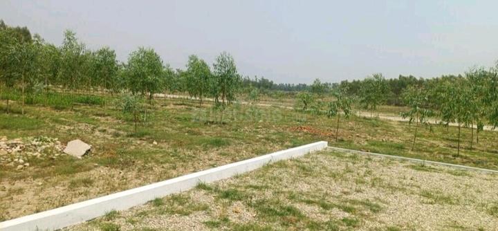 Jasmaur Plot View 1