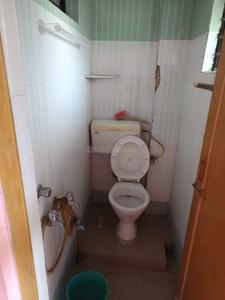 Image of 1150 Sq.ft 3 BHK Apartment / Flat for rent in Kalyani, Nadia for Rs. 10000