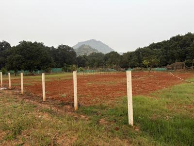 Image of 4356 Sq.ft Residential Plot / Land for sale in Nunna, Vijayawada for Rs. 1750000