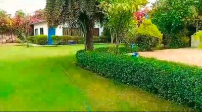 Image of 19000 Sq.ft 4 BHK Farm House for sale in Sultanpur, Gurgaon for Rs. 42000000