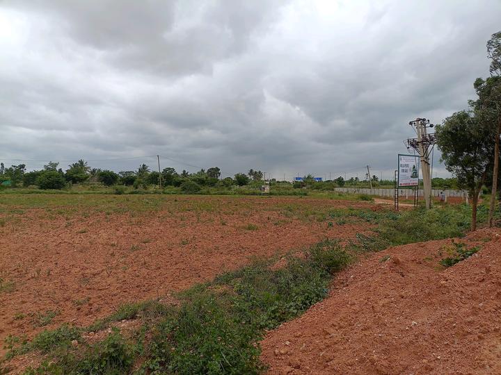 Shri Krishna Oasis Main Image 1