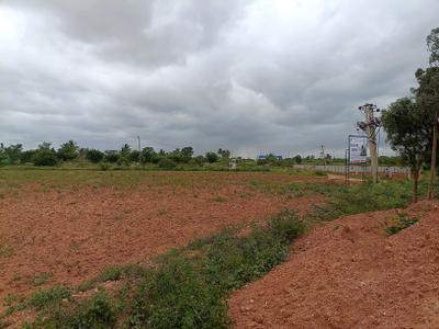 Residential Plot