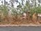 Koorkenchery Main Image 1