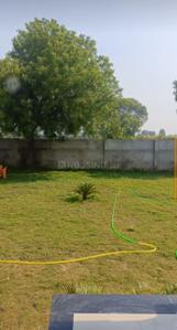 Image of 900 Sq.ft Residential Plot / Land for sale in Sunrakh Bangar, Vrindavan for Rs. 1700000