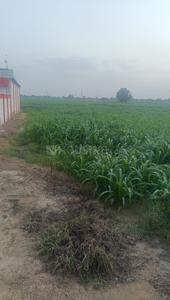 Image of 2420 Sq.ft Residential Plot / Land for sale in Jhajjarrural, Jhajjar for Rs. 33999999
