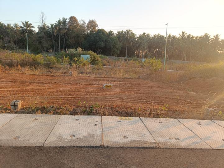 Kommaghatta Main Image 1