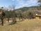 Pohal Village Main Image 1