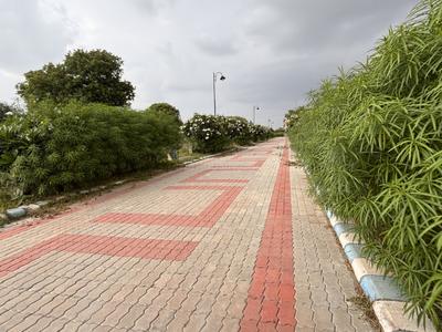 Y Block Plot View 3