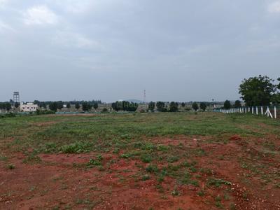 Residential Plot