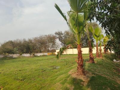 Floor Plan Image of 12050 Sq.ft Residential Plot / Land for sale in Bhatagaon Raipur for Rs. 5750000