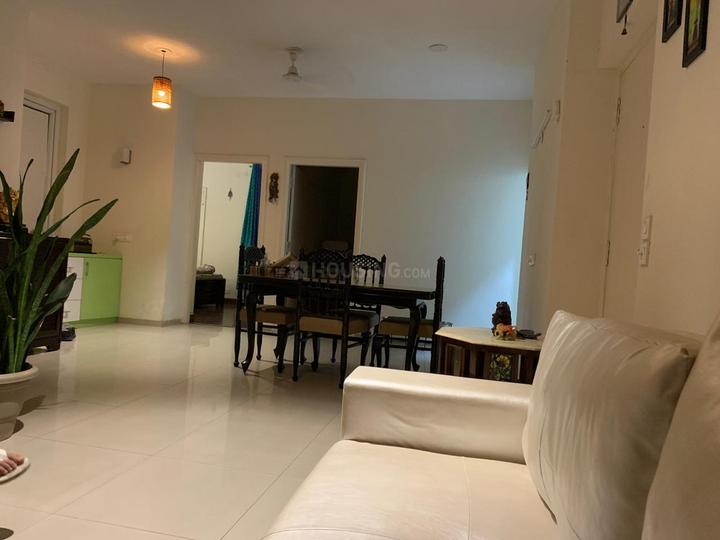 3 BHK Flat for rent in Sector 77, Gurgaon 1450 Sqft Property ID