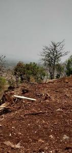 Sinhagad Road Plot View 2