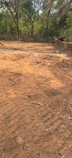 Mulgao Main Image 1