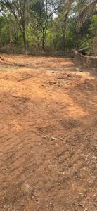 Mulgao Plot View 1