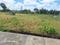 Nadaprabhu Kempegowda Layout Plot View 2