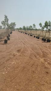 Image of 6000 Sq.ft Residential Plot / Land for sale in Amleshwar, Raipur for Rs. 4194001