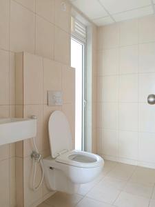 Common Bathroom Image of 750 Sq.ft 2 BHK Apartment / Flat for rent in Godrej Emerald, Thane West Thane for Rs. 27989