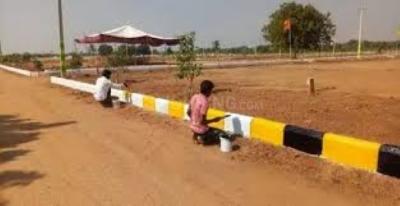 Image of 12000 Sq.ft Residential Plot / Land for sale in Shadnagar, Ranga Reddy for Rs. 3300000