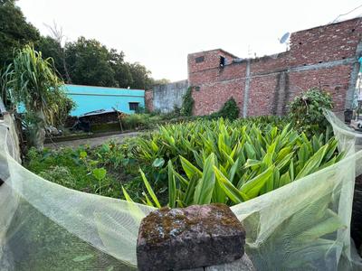 Chandrabani Plot View 2