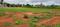 Devanahalli Main Image 1