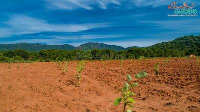 Image of 100 Sq.ft Residential Plot / Land for sale in Ravikamatham, Visakhapatnam for Rs. 400000