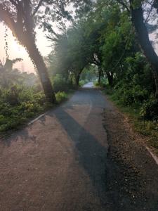 Image of 1440 Sq.ft Residential Plot / Land for sale in New Town, Kolkata for Rs. 2500000
