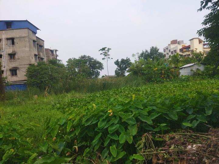 Mukundapur nayabad kmc word 109 Main Image 1