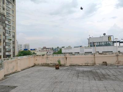 Terrace Image of 3694 Sq.ft 5 BHK Builder Floor for sale in Alipore Kolkata for Rs. 30100000