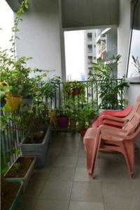 Balcony Image of 1500 Sq.ft 2 BHK Apartment / Flat for sale in Ireo Skyon, Sector 60 Gurgaon for Rs. 17500000