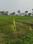 Sonarpur Main Image 1