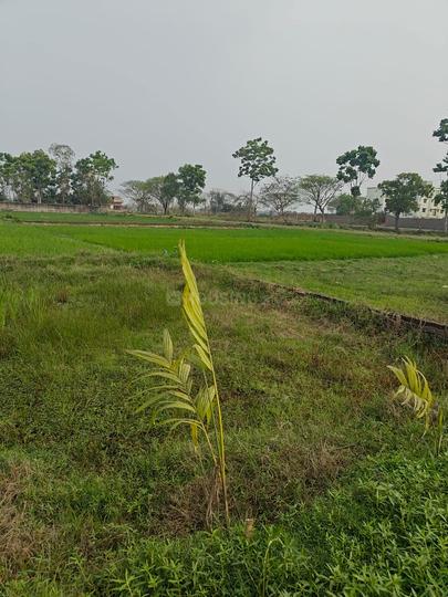 Sonarpur Main Image 1