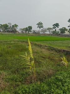 Sonarpur Plot View 1
