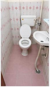 Bathroom Image of Girls and Boys pg in Powai, Mumbai