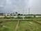 Dadri Plot View 2