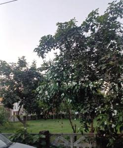 Image of 448 Sq.ft Residential Plot / Land for sale in Vrindavan Yojana, Lucknow for Rs. 3500000