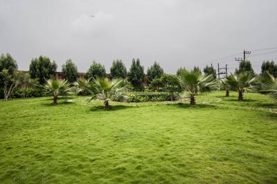 Image of 1100 Sq.ft Residential Plot / Land for sale in Wallfort Parkview phase 1, Datrenga, Raipur for Rs. 2150000