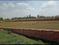 West park Plot View 2